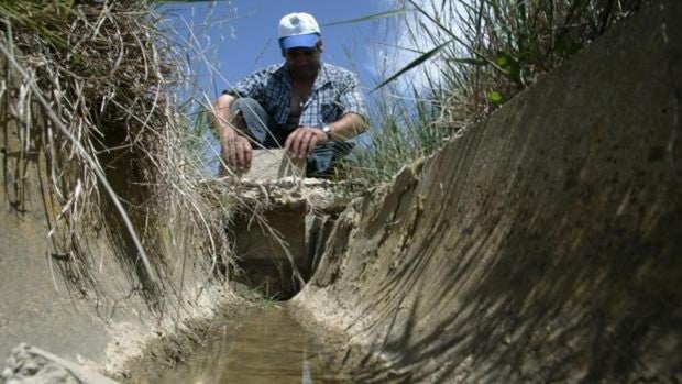 Portazo del Gobierno aragonés al 41% de los agricultores que quieren modernizar sus explotaciones