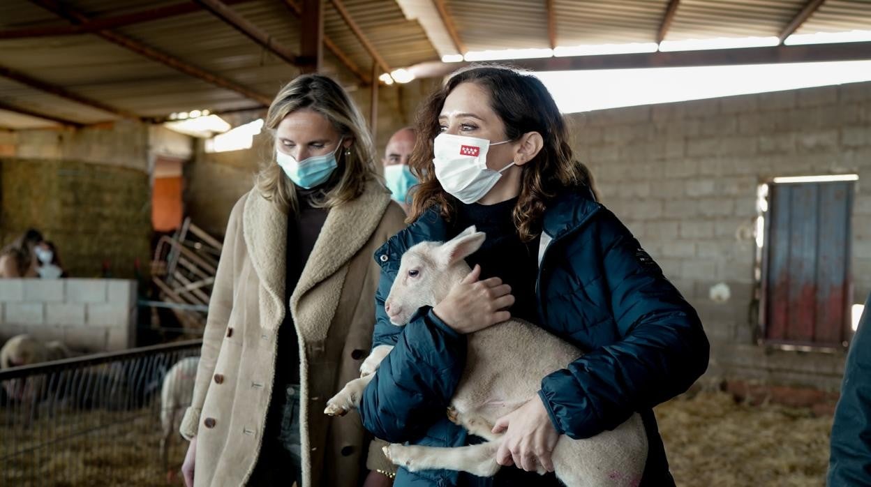 Díaz Ayuso sujeta un cordero, junto a la consejera de Medio Ambiente, Paloma Martín