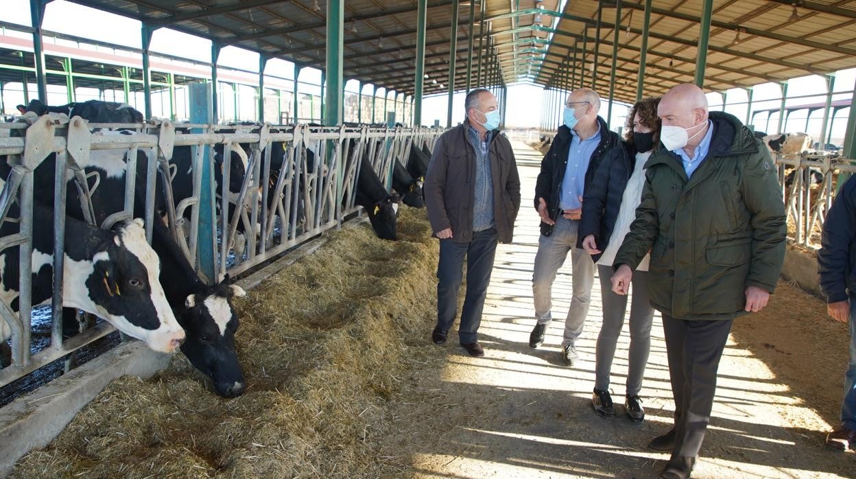 El consejero de Agricultura, Ganadería y Desarrollo Rural, Jesús Julio Carnero, durante su visita a una ganadería en Tordehumos (Valladolid)