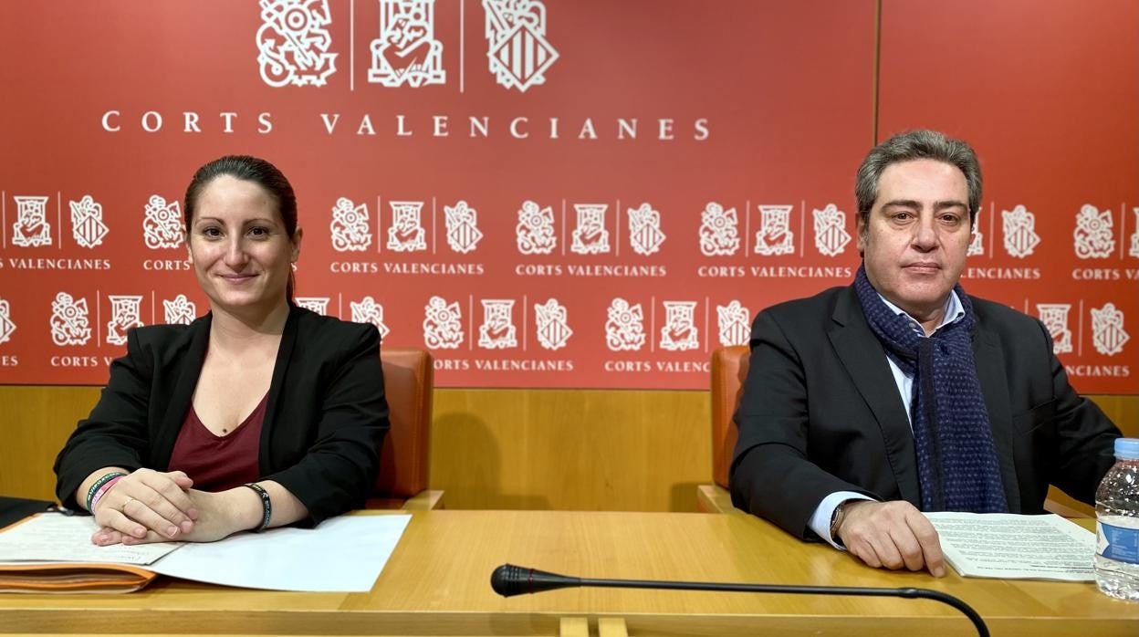 Imagen de la síndica de Vox en las Cortes Valencianas, Ana Vega, junto al portavoz adjunto José María Llanos