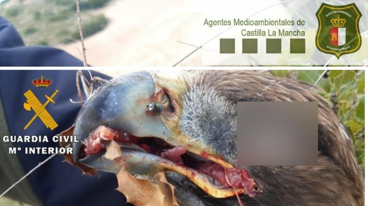 Una de las fotografías que han enfadado al colectivo de agentes medioambientales. La Guardia Civil difundió la imagen solamente con su escudo y quitó el de los agentes medioambientales