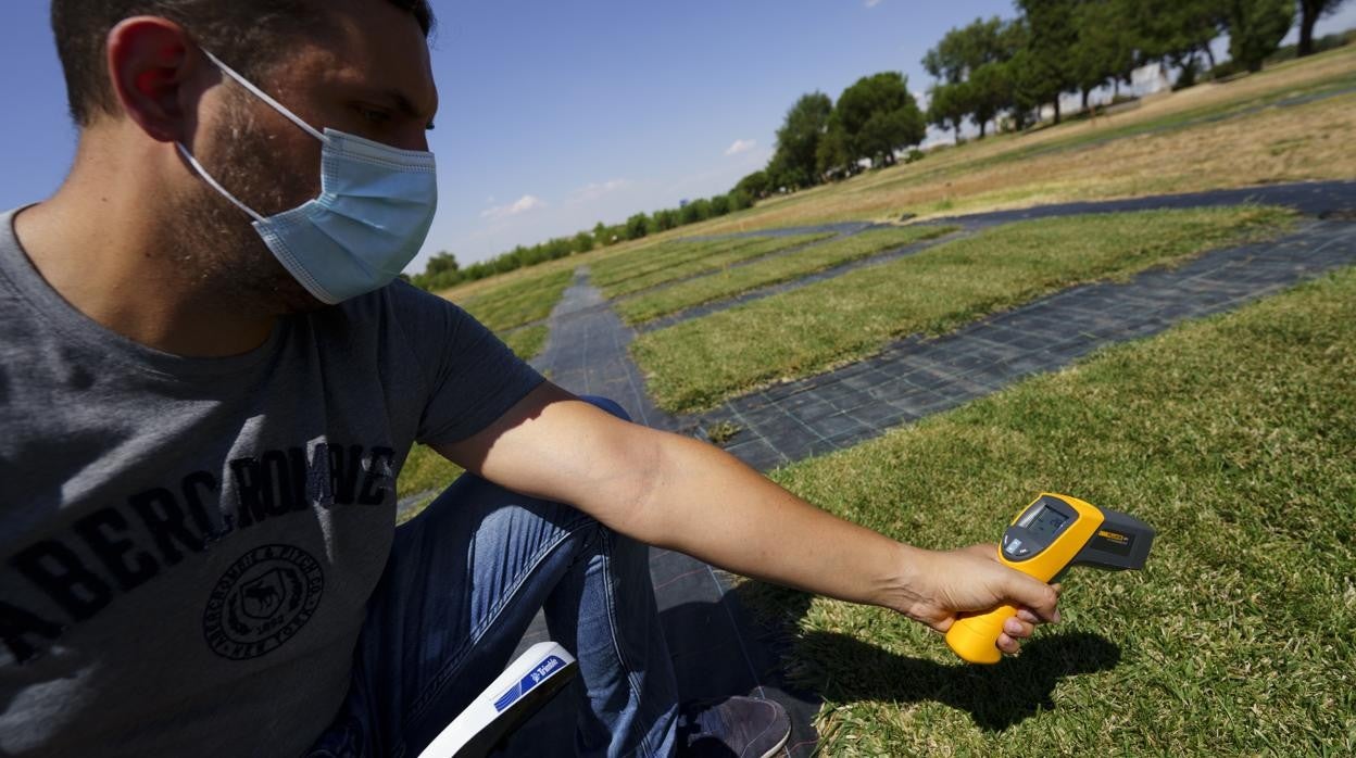 Un técnico del Imidra comprueba el estado de las parcelas de prueba del ‘xerocésped’