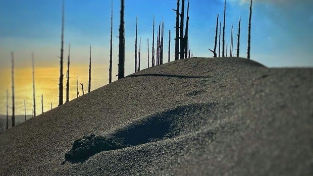 La 'superfajana' seguirá creciendo con el aporte de la nueva colada en la zona de Las Hoyas