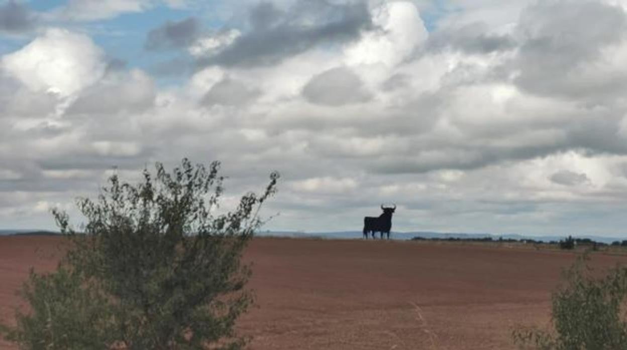 Zona próxima al lugar previsto para la biorrefinería