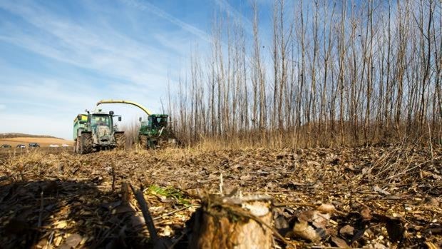 Las calderas de pellet ‘triunfan’ con la subida de los precios energéticos