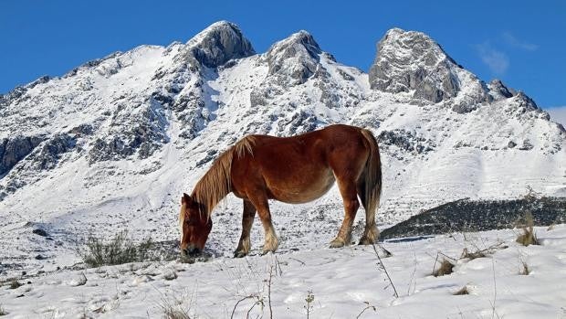 La Pinilla (Segovia) y Palacios de la Sierra (Burgos), con -9 grados, registran dos de las mínimas más bajas del país