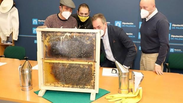 Palencia acoge la III Feria Apícola de Castilla y León los días 29 y 30 de enero