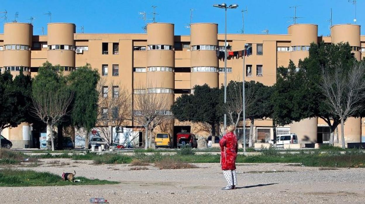 Barrio de Los Palmerales, en Elche, donde se produjo el crimen