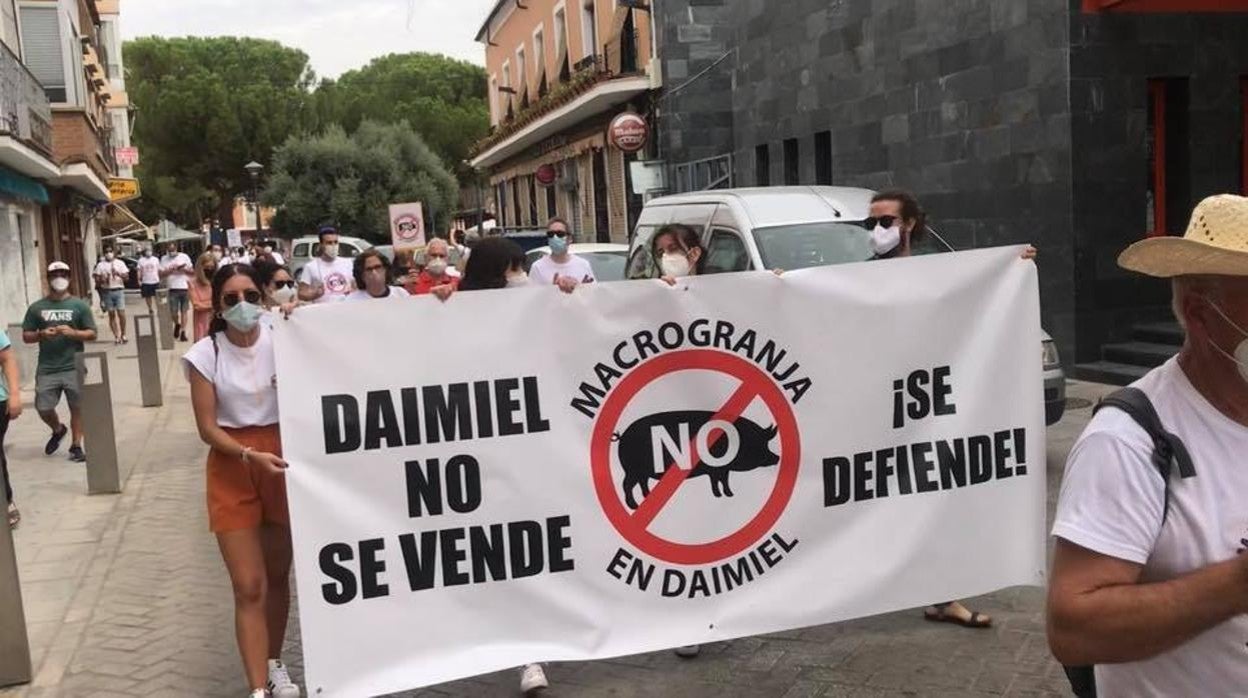 Manifestación en Daimiel contra la instalación de una macrogranja de cerdos