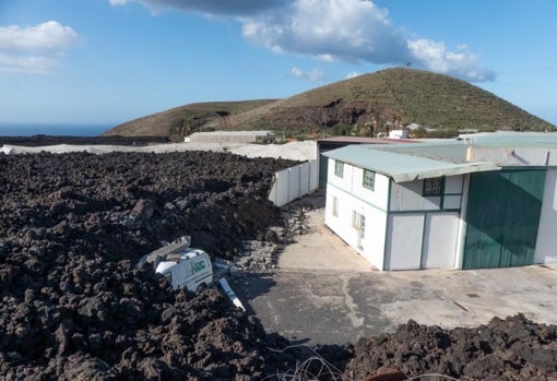 Zona afectada por las coladas de lava en Los Llanos de Aridane