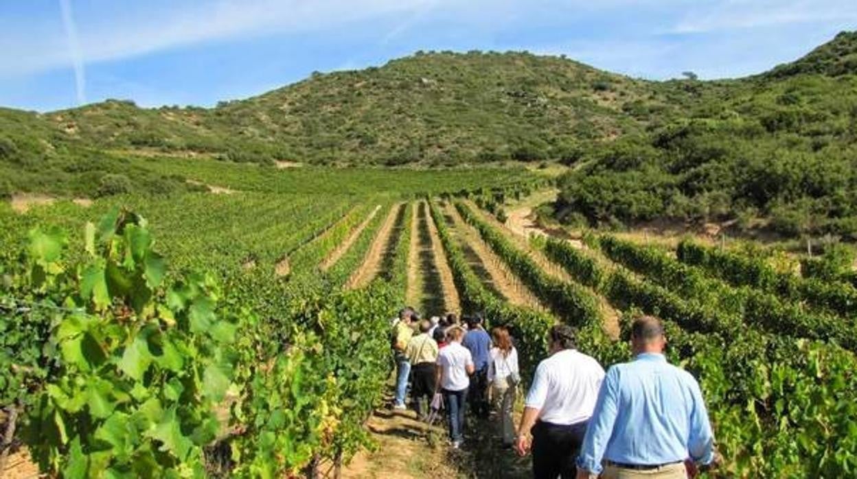 En la imagen de archivo, visitantes en una bodega de Castilla-La Mancha