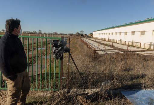 Así se crían 2.000 cerdos ibéricos en Castilla y León