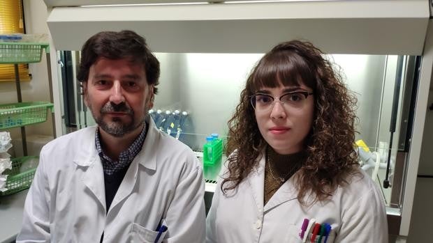 Hallazgos «alentadores» desde la ULE sobre el cáncer hepático