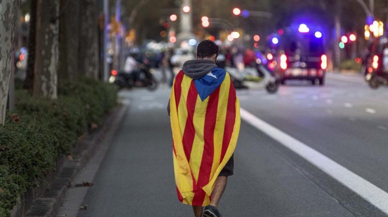 Manifestante portando una estelada