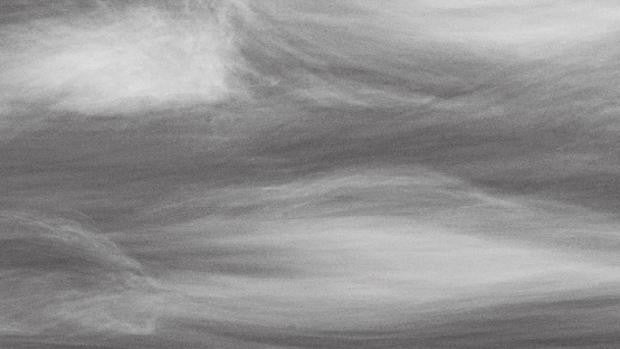 Primavera tardía, de Amador Palacios