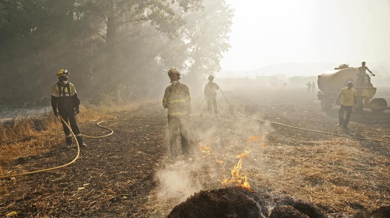 Efectivos del cuerpo de Bomberos de la Generalitat durante la extinción de un fuego forestal en Gerona