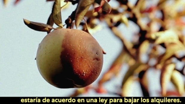 Podemos compara al Poder Judicial con una fruta «podrida»