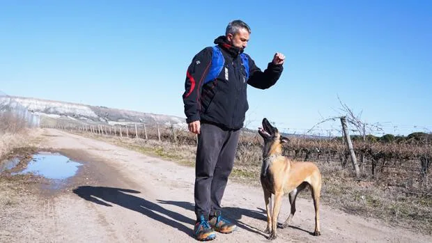 De Posada a Traspinedo: el pastor belga que quiere ayudar en la búsqueda de Esther en Traspinedo
