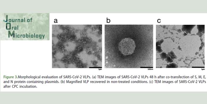 Un estudio confirma que los enjuagues bucales frenan la transmisión del coronavirus