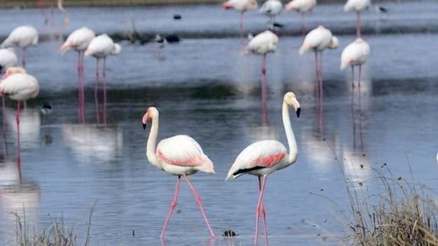 Nueva ruta turística medioambiental y cultural en Miguel Esteban