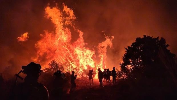 La Junta declara peligro medio de incendios forestales en toda la Comunidad hasta el 10 de febrero