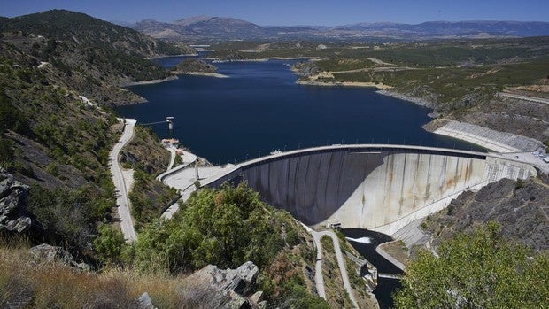 Hidroforest: el proyecto que cuida los árboles para salvar los embalses