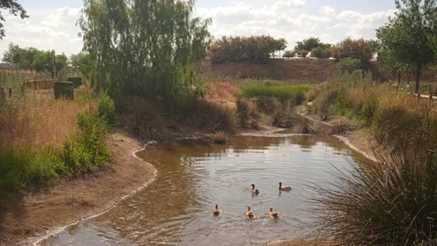 Chueca convierte un vertedero en parque urbano