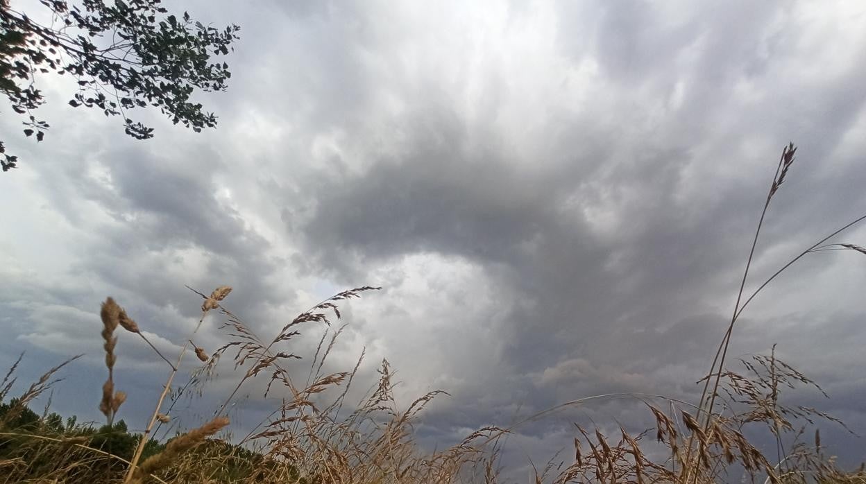 Nubes de tormenta que se esperan para las Elecciones de Castilla y León 2022