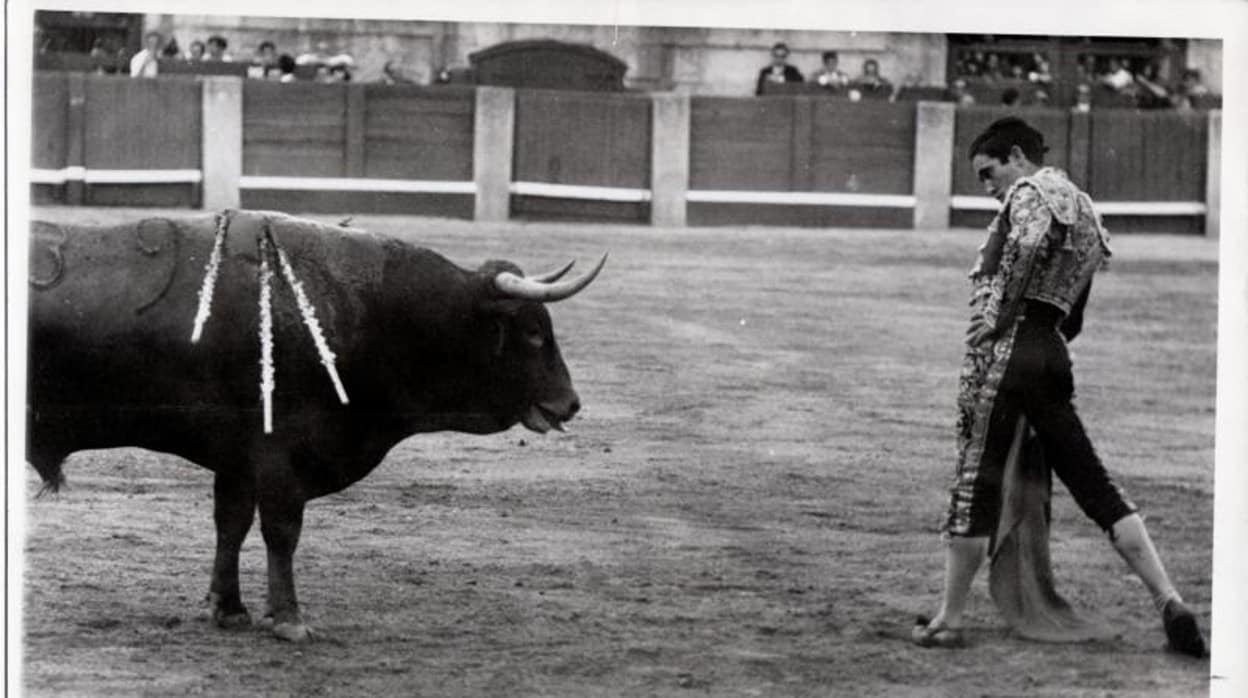 Paco Camino frente a un toro, en una imagen de archivo