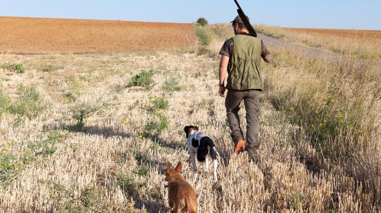 Imágenes de la temporada de caza en Castilla y León