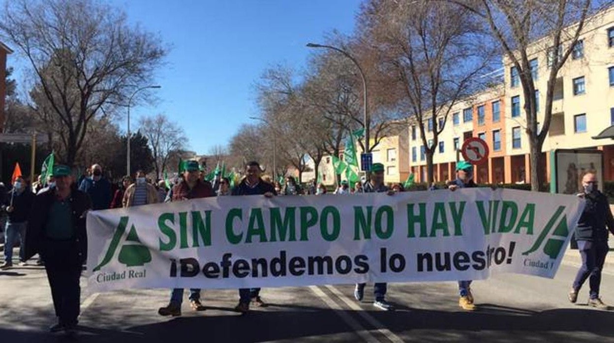 Han participado agricultores y ganaderos procedentes de las provincias de Cuenca, Albacete y Toledo, así como organizaciones y cooperativas de Castilla-La Mancha como Asaja, UPA o Coag