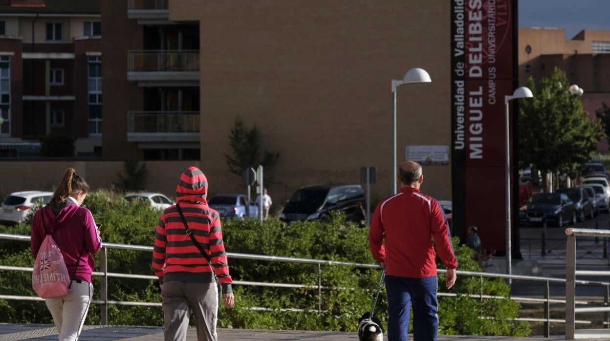 Universidad: retos para la legislatura