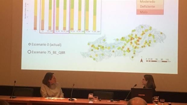 Las soluciones de Carlotta Valeria para mejorar el estado del río Tajo