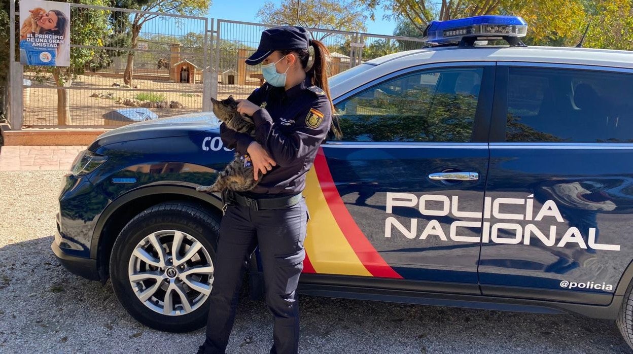 Una agente de la Policía Nacional, con un gato en brazos