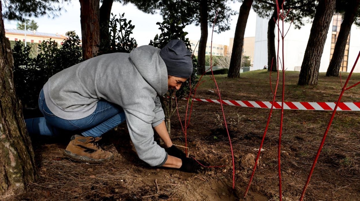 Aula Ecológica de la Universidad de Salamanca