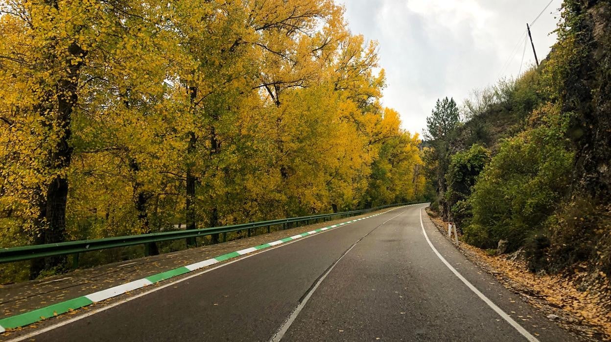 Este jueves se pone en marcha del Transporte Sensible a la Demanda en la Serranía de Cuenca