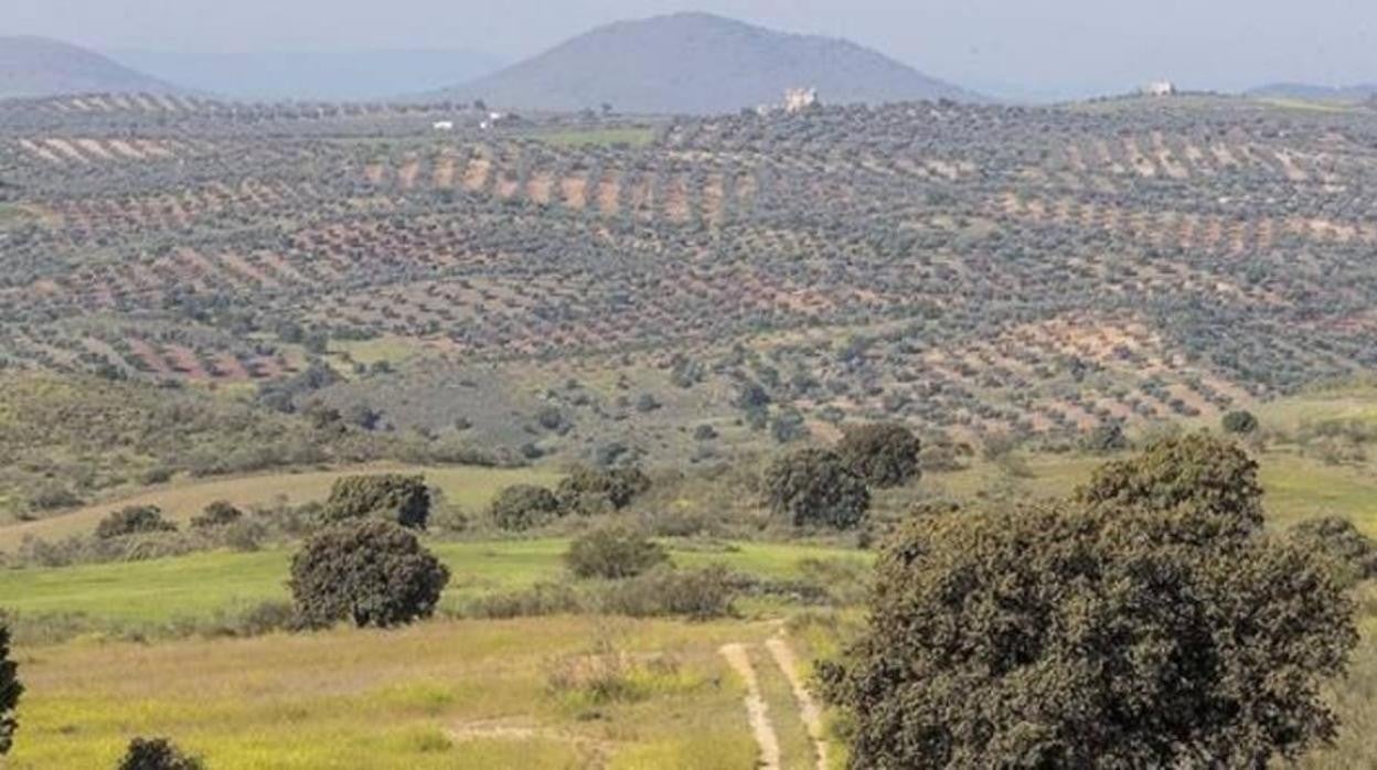 Finca de Zurraquín, en Toledo