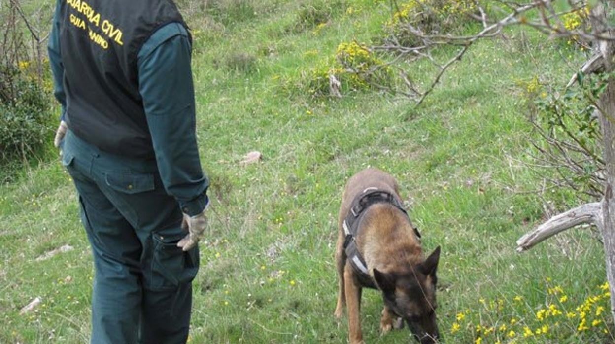 La Guardia Civil localiza enterrado el cadáver de una mujer en una finca de Olesa y detiene a su dueño