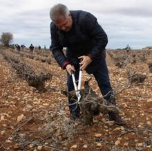 El alcalde de Miguel Esteban podadndo