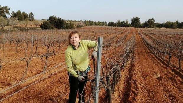 Solo 17 mujeres en el registro de explotaciones agrarias de titularidad compartida de la Comunidad Valenciana