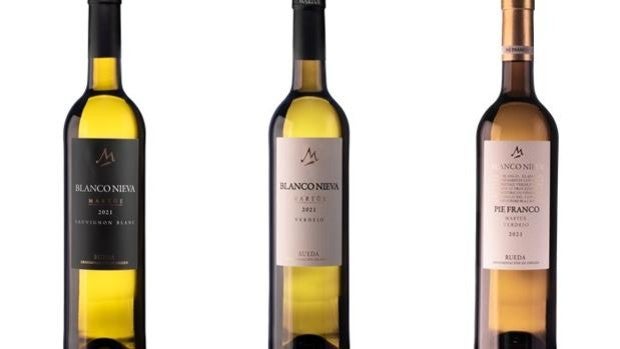 Bodega Blanco Nieva presenta las nuevas añadas de sus vinos blancos