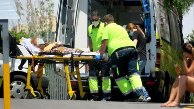 Dos mujeres ingresan en el Hospital de Alicante tras caerles encima una palmera