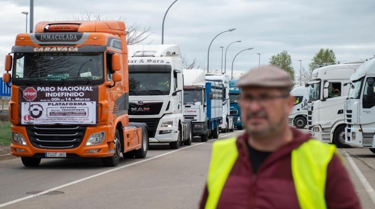 Este viernes se manifestaron unas 500 cabezas tractoras en Ciudad Real