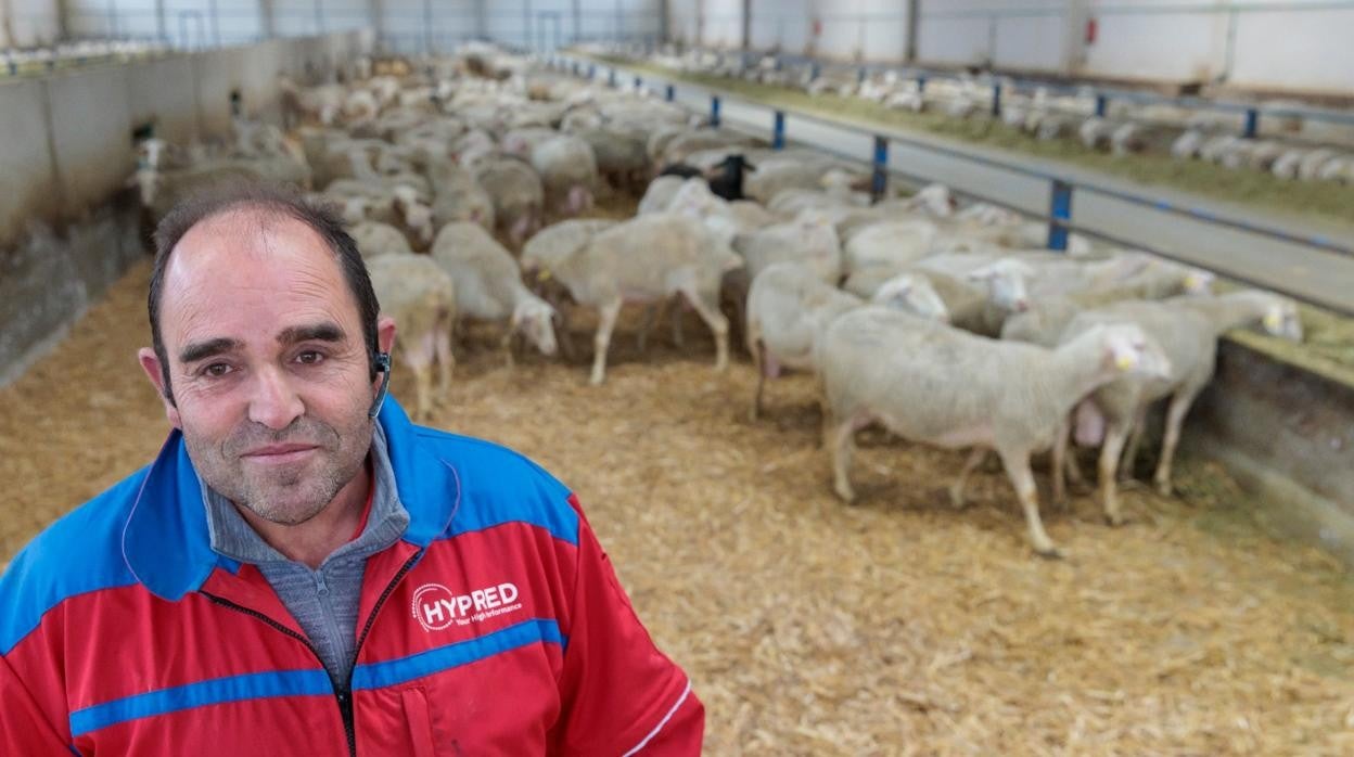 El ganadero Luis Alfonso Hernández posa con su ganado