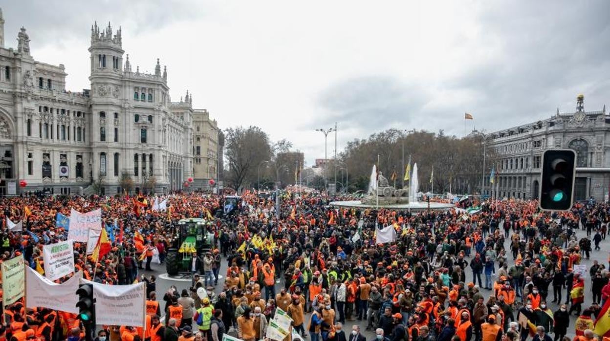 Carnero: «El Gobierno de España ha dado la espalda al campo»