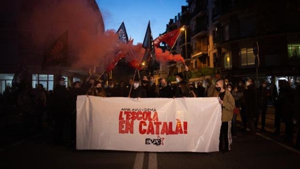 El Defensor del Pueblo catalán afirma que aplicar el fallo del TSJC supondrá más de un 25% de castellano