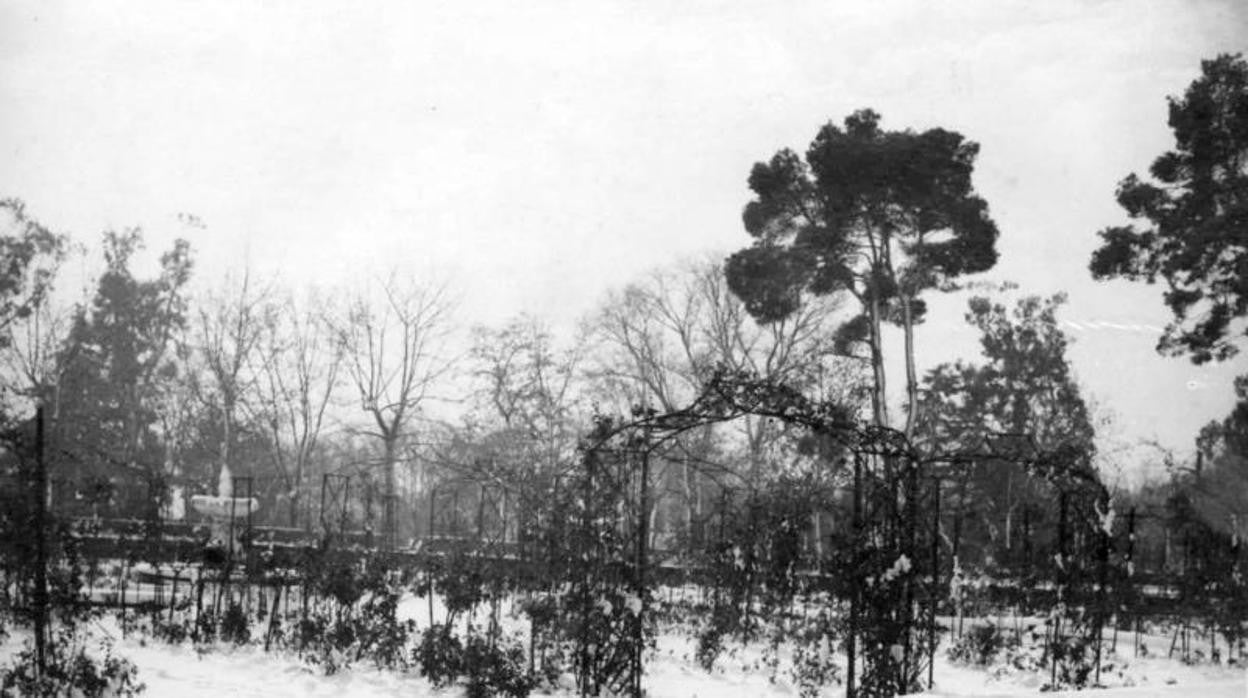 La Rosaleda del Retiro, tras una copiosa nevada, en el invierno de 191