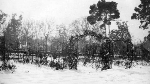 El jardinero madrileño que logró traer 12.000 rosas a Madrid en plena I Guerra Mundial