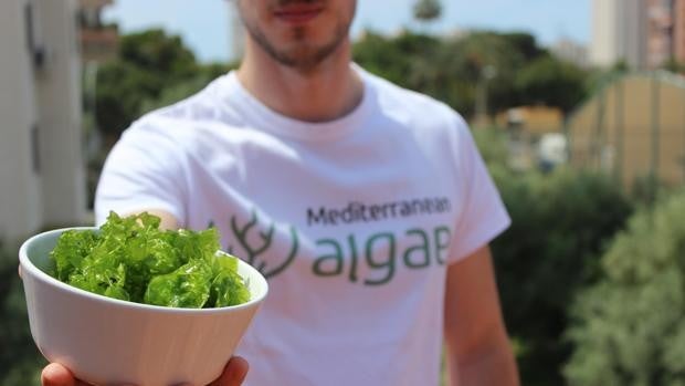 Dos startups de Alicante crean un sistema anti-nitratos para frenar la contaminación del Mar Menor