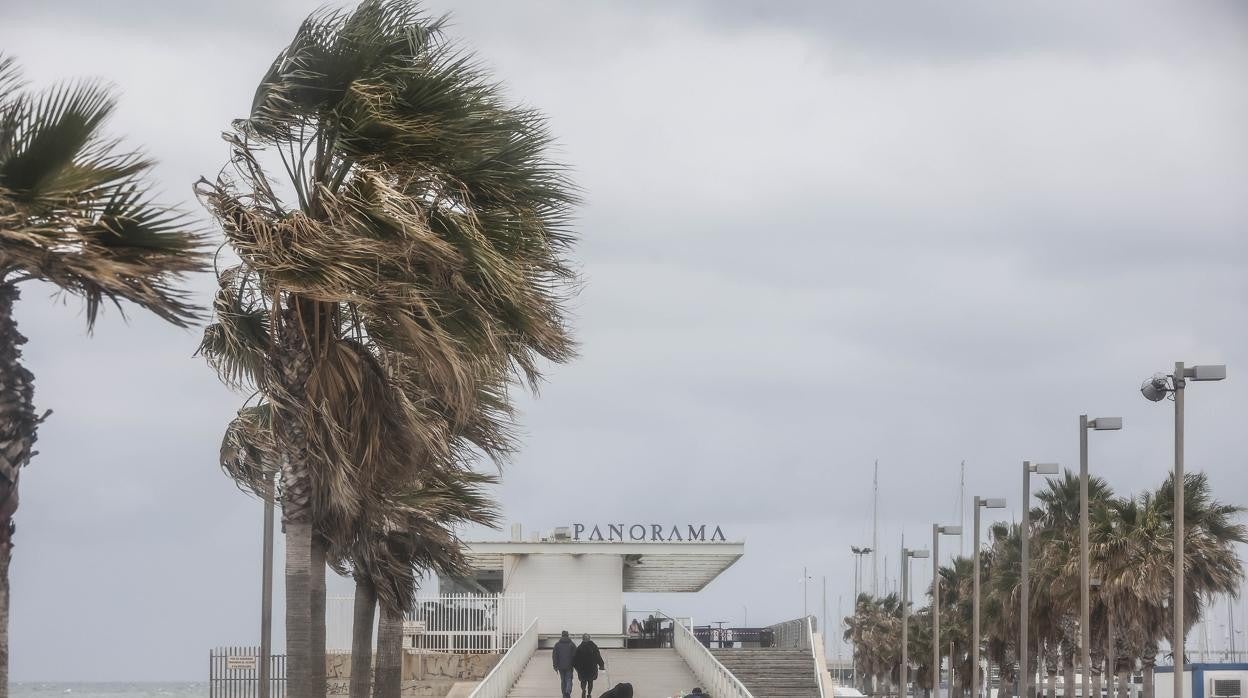 Una imagen del puerto de Valencia en el mes de marzo